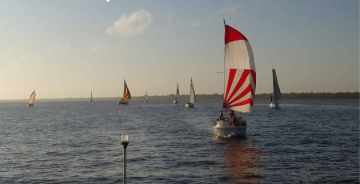 Cruiser 18