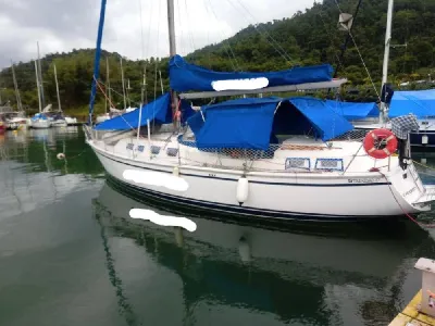 Clique para visualizar Trinidad 37 OPe