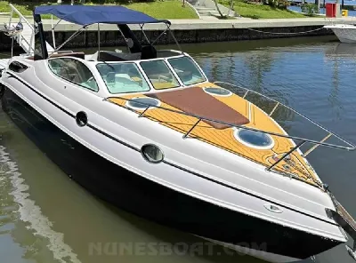 Clique para visualizar Coral 29