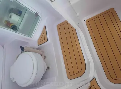 Clique para visualizar Coral 29