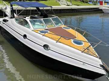 Coral 29