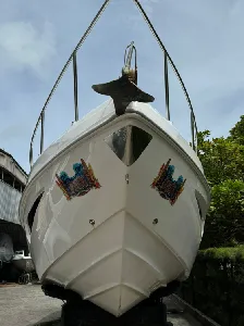 Ecomariner 330 Targa