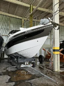 REAL  POWERBOAT 365 - ESPECIAL EDITION 