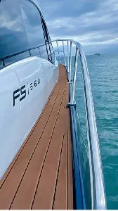 Clique para visualizar FS 36