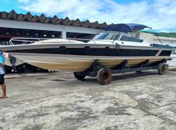Panther 33