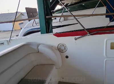 Cougar Intermarine 42