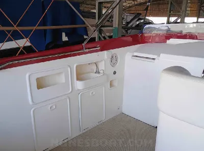 Cougar Intermarine 42