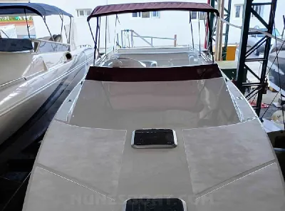 Cougar Intermarine 42