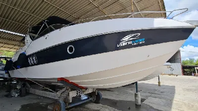 Coral 31
