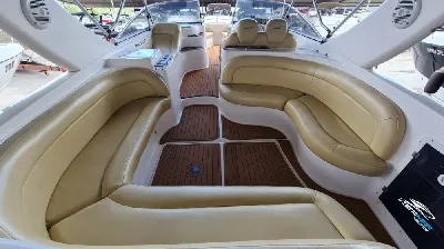 Coral 31