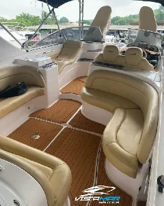 Coral 31