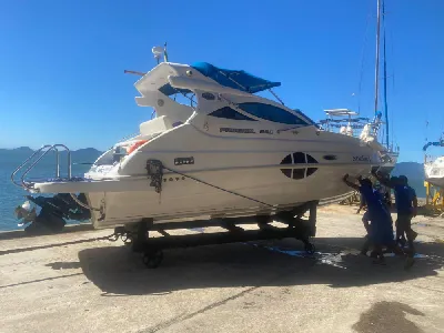 Phoenix 290 Platinum