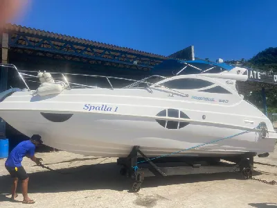 Phoenix 290 Platinum