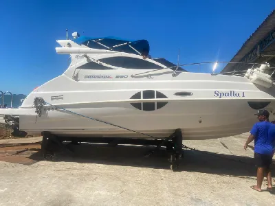 Phoenix 290 Platinum