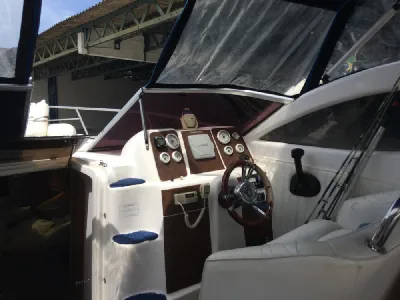 Phoenix 290 Platinum