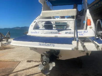 Phoenix 290 Platinum