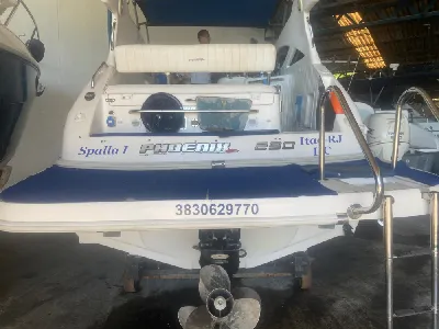 Phoenix 290 Platinum