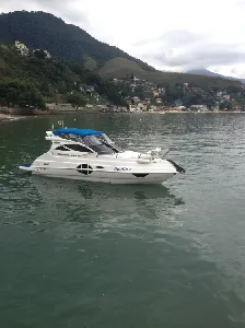 Phoenix 290 Platinum