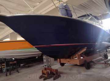 SEDNA 335
