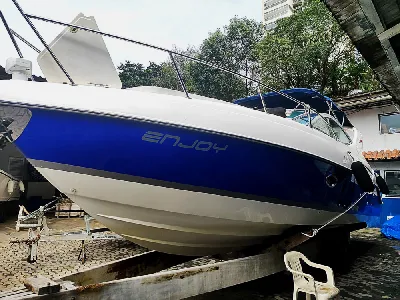 Phantom 290 + Mercruiser 1,7 120Hp Diesel 