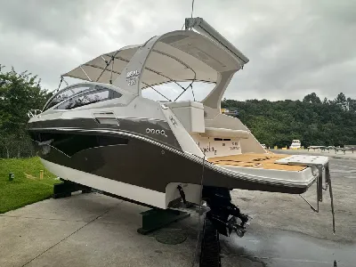 REAL 330 Special Edition / Gasolina Mercury 350HP