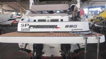 Phoenix 290 Full