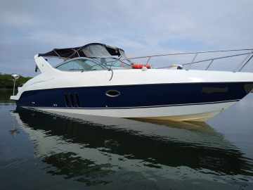 Phantom 290