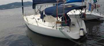 Skipper 30