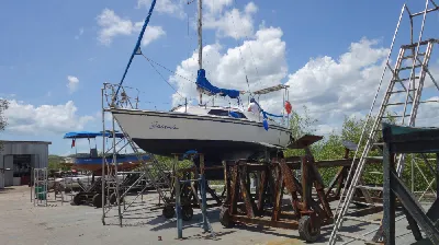 Albatroz 27
