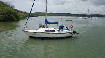 Albatroz 27