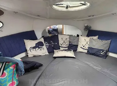 Alternativa 870 Cabin