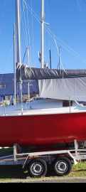 Skipper 21