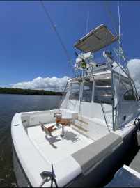 Riostar 40 Altair