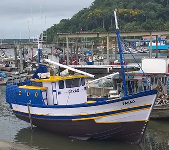 Traineira Pesca Profissional