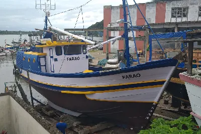 Traineira Pesca Profissional