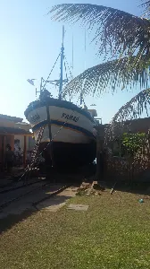 Traineira Pesca Profissional