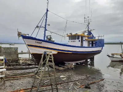 Traineira Pesca Profissional