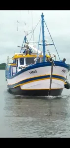 Traineira Pesca Profissional