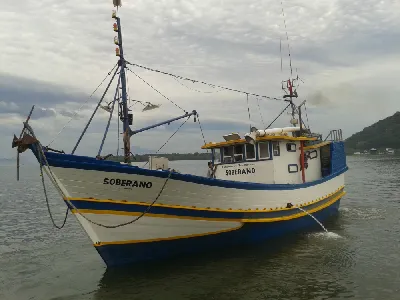 Traineira Pesca Profissional