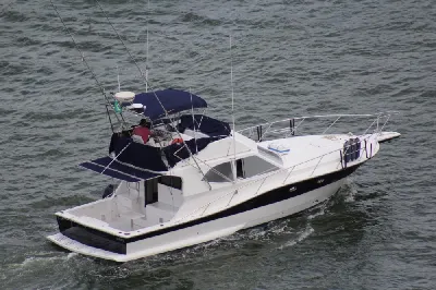 Clique para visualizar Carbrasmar 41