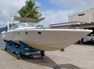 Panther 33