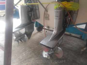 Panther 33