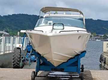 Panther 33