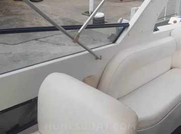 Panther 33