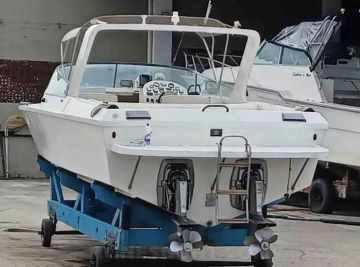 Panther 33