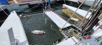 Clique para visualizar Catamarã BORA BORA 28