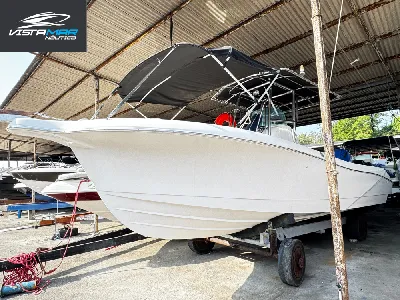 Clique para visualizar Fishing 24