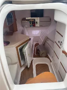 Clique para visualizar Coral 31