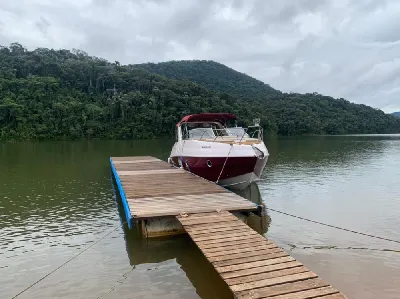 Clique para visualizar Coral 31