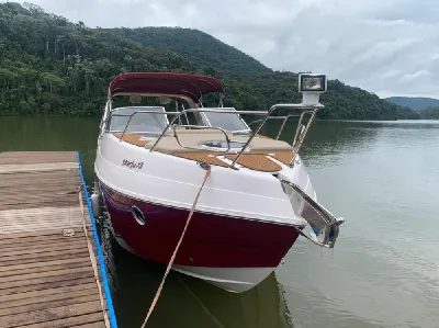 Clique para visualizar Coral 31